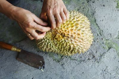 Cropped hands of person cutting fruit