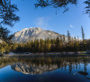 Scenic view of lake by trees against sky