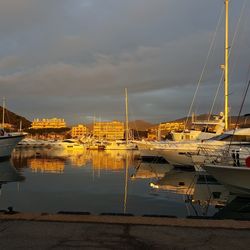 Sailboats moored at harbor against sky