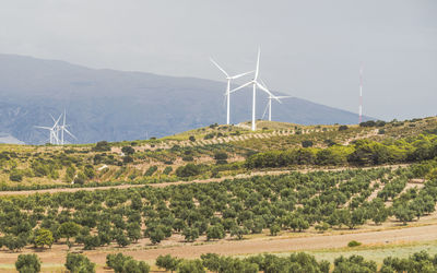 Windmill on field against sky