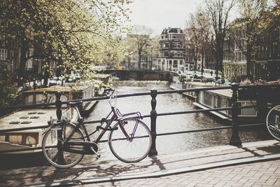 Bridge in amsterdam