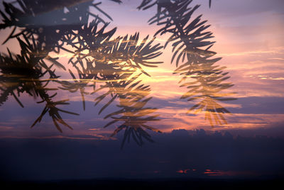 Scenic view of sea at sunset