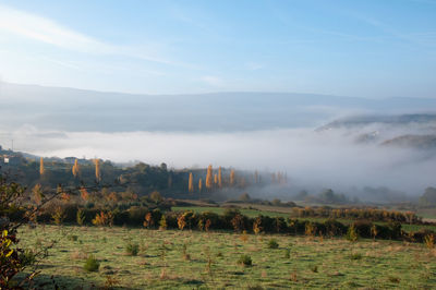 Scenic view of landscape against sky