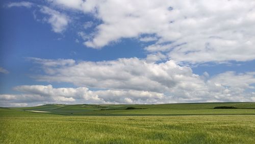 Scenic view of field against sky