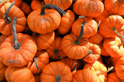 Full frame shot of pumpkins for sale