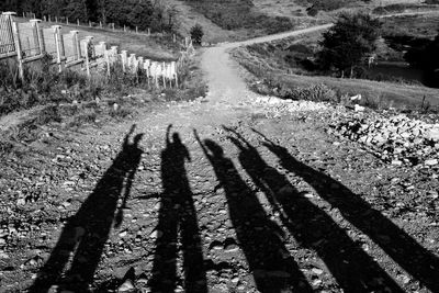 Shadow of people on road