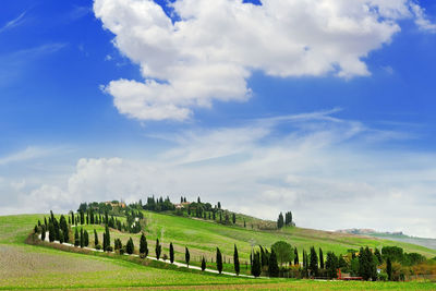 Scenic view of grassy field against cloudy sky