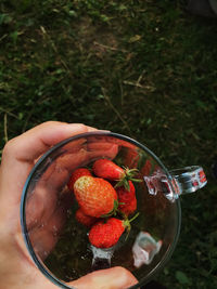 Cropped hand holding strawberries