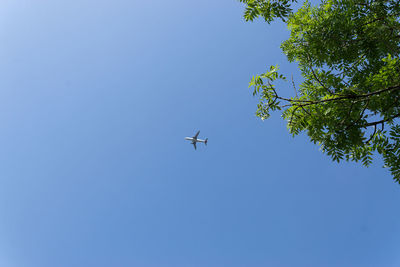 Low angle view of airplane against clear blue sky