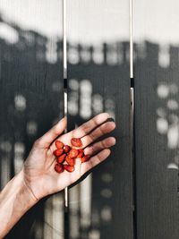 Cropped hand of women holding fruits on table