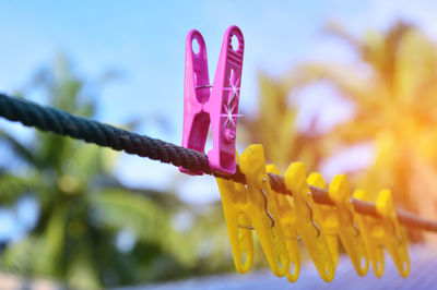 Close-up of clothespins on clothesline against sky