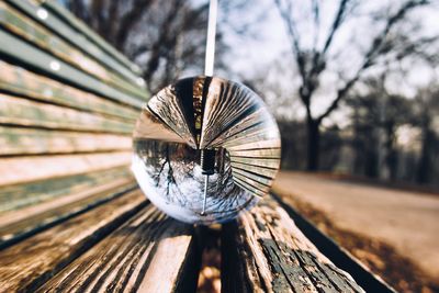 Close-up of umbrella on wood