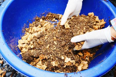 Close-up of person hand in blue cup