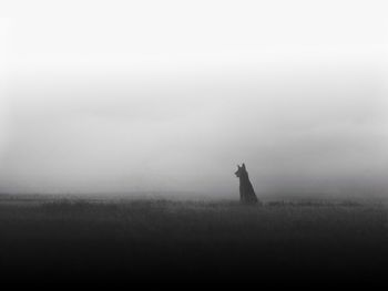 Statue in foggy weather