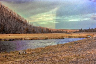 Scenic view of landscape against sky