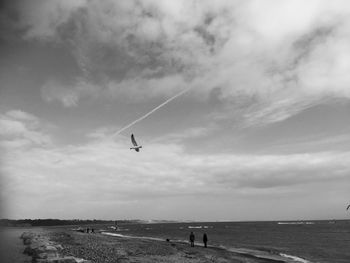 Bird flying over sea against sky