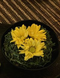 Close-up of yellow flowers