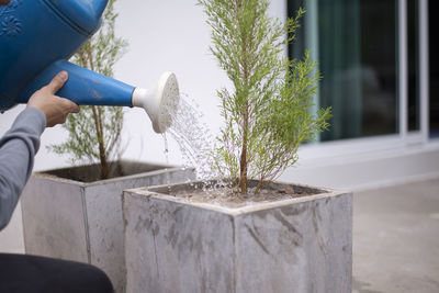 Midsection of person holding umbrella against plants