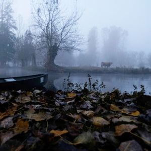 Scenic view of lake against sky during winter