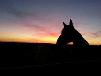 Silhouette horse against sky during sunset