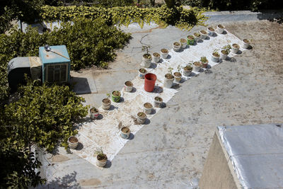 Making pots for plants in karaj city, iran