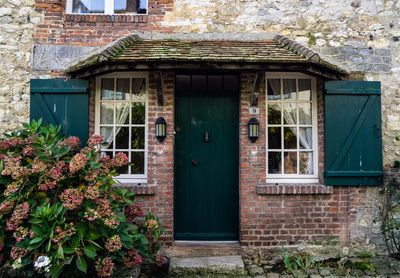 Plants growing outside house