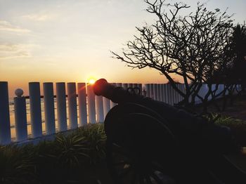 Person holding orange tree against sky during sunset