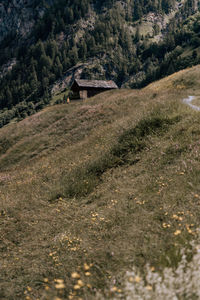 Scenic view of field by trees against mountain