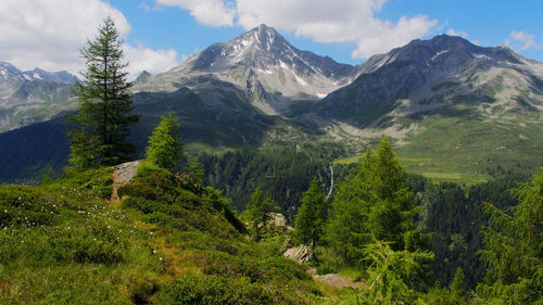 Scenic view of green landscape and mountains