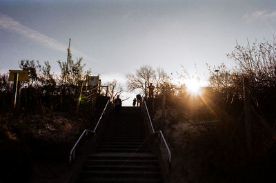 Low angle view of silhouette trees against sky during sunset