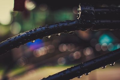 Close-up of water drops on metallic fence