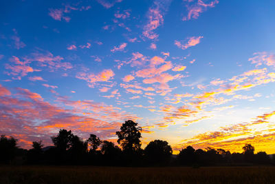 Silhouette trees on field against sky at sunset