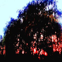Low angle view of trees against sky