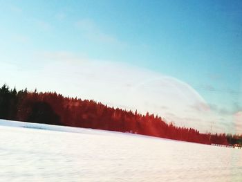 Trees against sky during winter