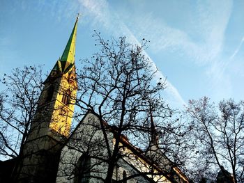 Low angle view of tree against sky