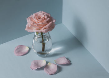 Close-up of rose in glass on table