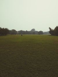 Scenic view of field against clear sky