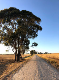 Peaceful old dirt country road 