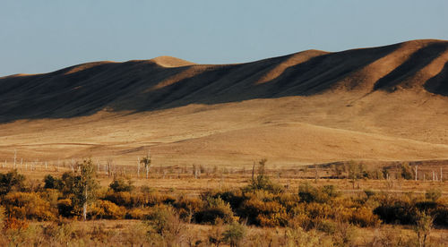 Scenic view of landscape against clear sky