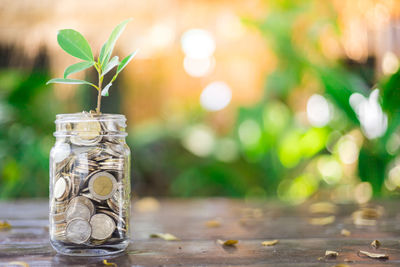 Close-up of coins in jar on table