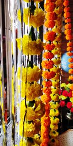 Close-up of yellow flowers for sale
