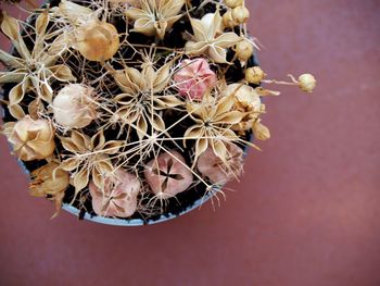 Close-up of flowers