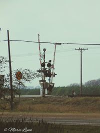 View of trees in field