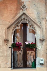 Flowers in front of building