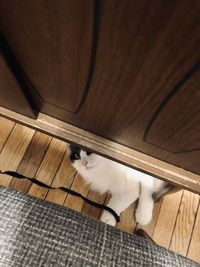 High angle view of cat relaxing on hardwood floor