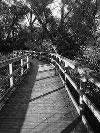 Footbridge in forest