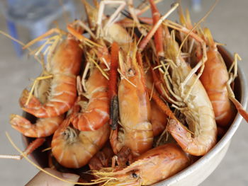 High angle view of prawns in plate