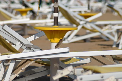 Bird perching on lounge chair