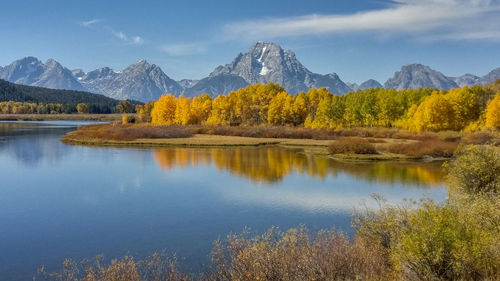 Scenic view of lake by trees against sky
