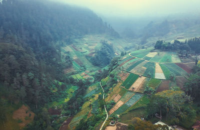 High angle view of agricultural landscape